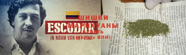 a pvp Лиски