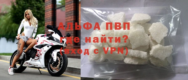 PSILOCYBIN Липки
