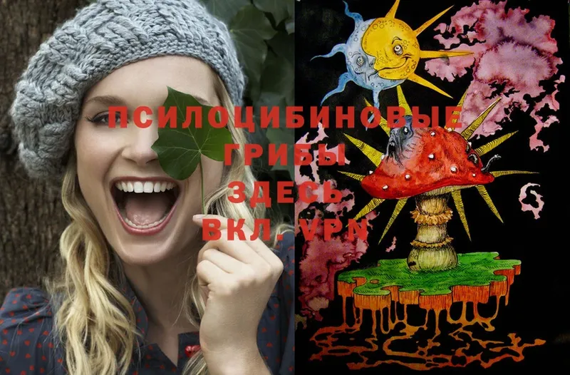 Галлюциногенные грибы MAGIC MUSHROOMS  Кемь 