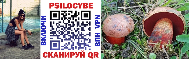 Псилоцибиновые грибы Cubensis маркетплейс Telegram Кемь